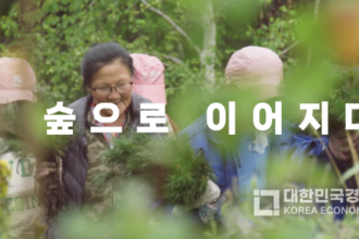 UNDP 서울정책센터, 세계 숲의 날 맞아 몽골 산림 협력 이야기 공개