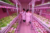오는 2027년까지 스마트농업 비중 30까지 늘린다